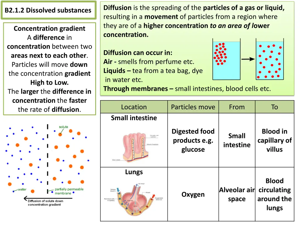 diffusion is the spreading of the particles