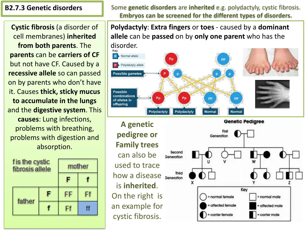 some genetic disorders are inherited