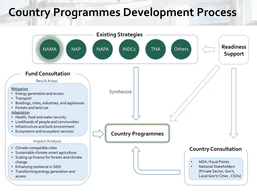 country programmes development process