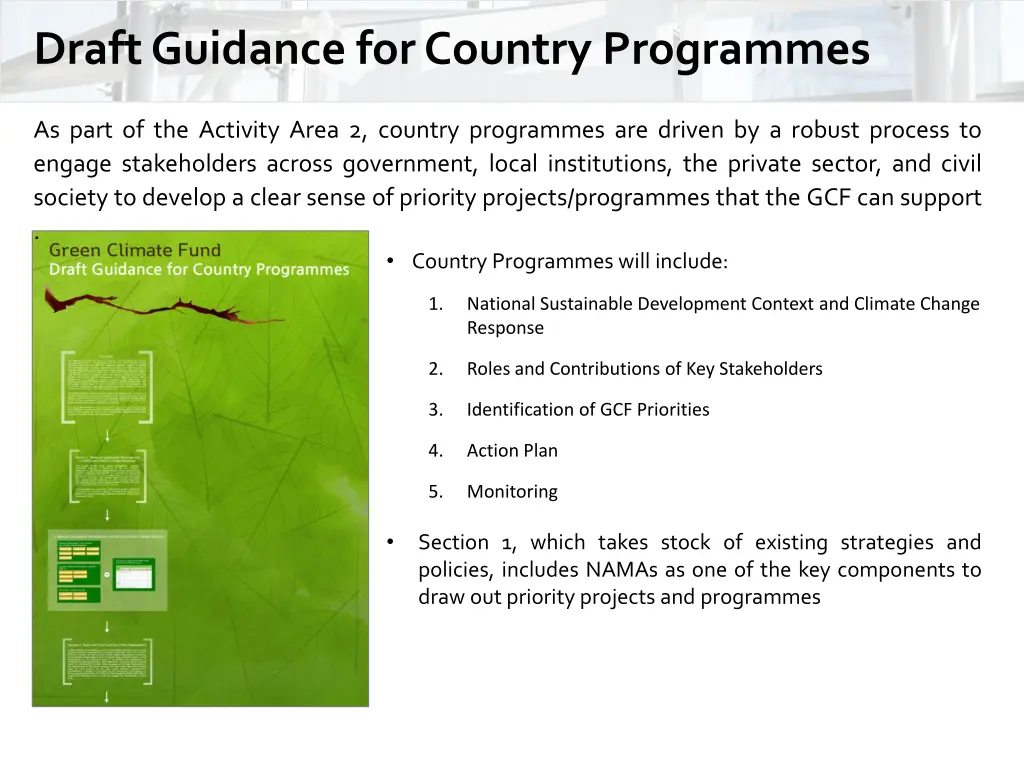 draft guidance for country programmes