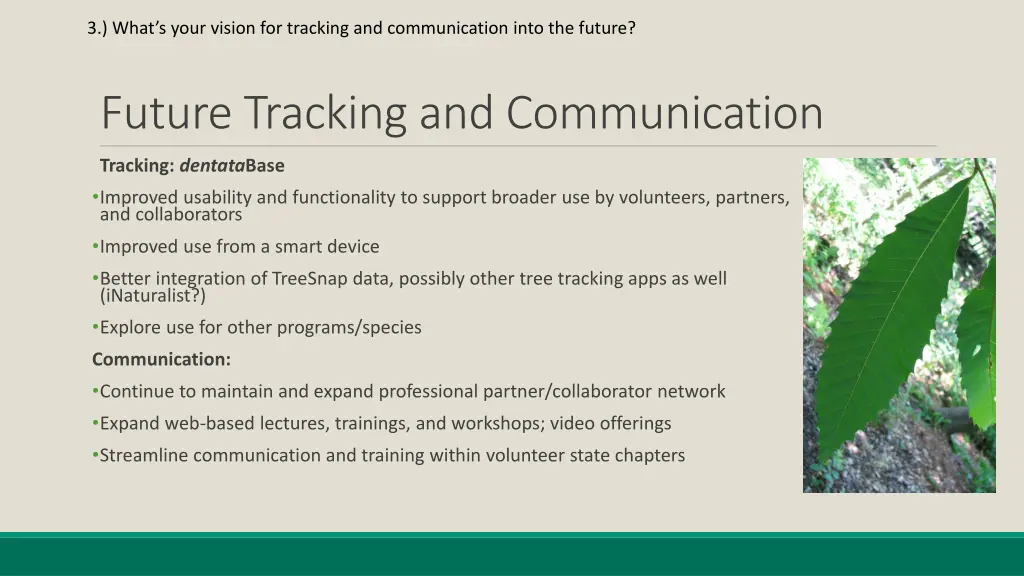 3 what s your vision for tracking