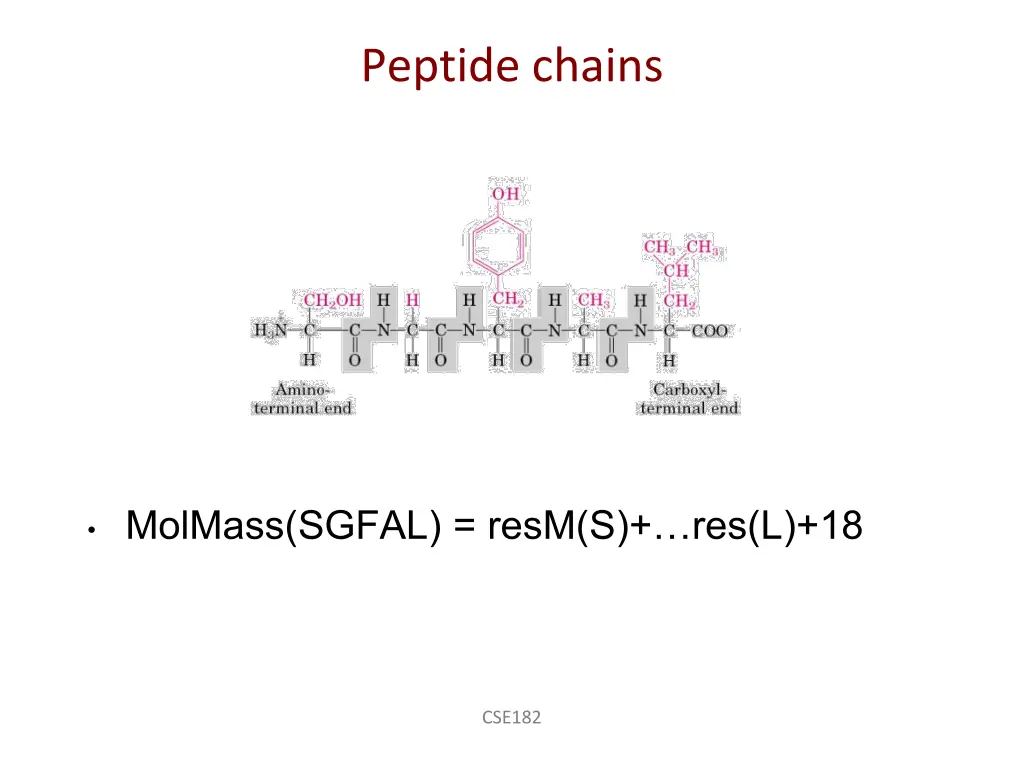 peptide chains