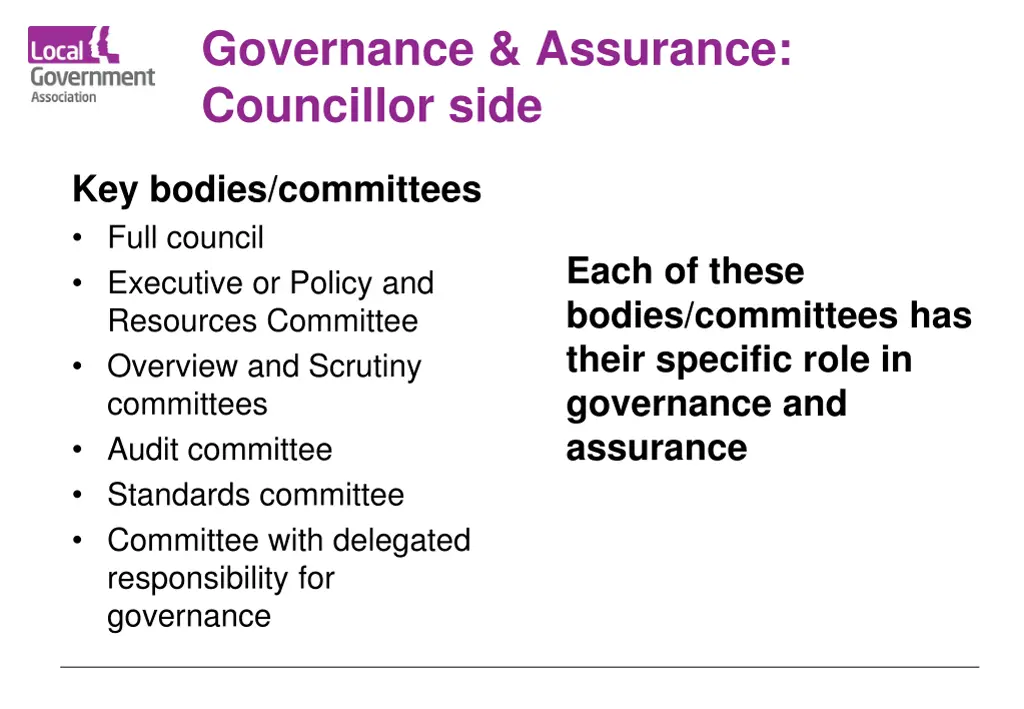 governance assurance councillor side