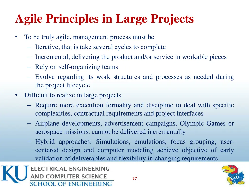 agile principles in large projects