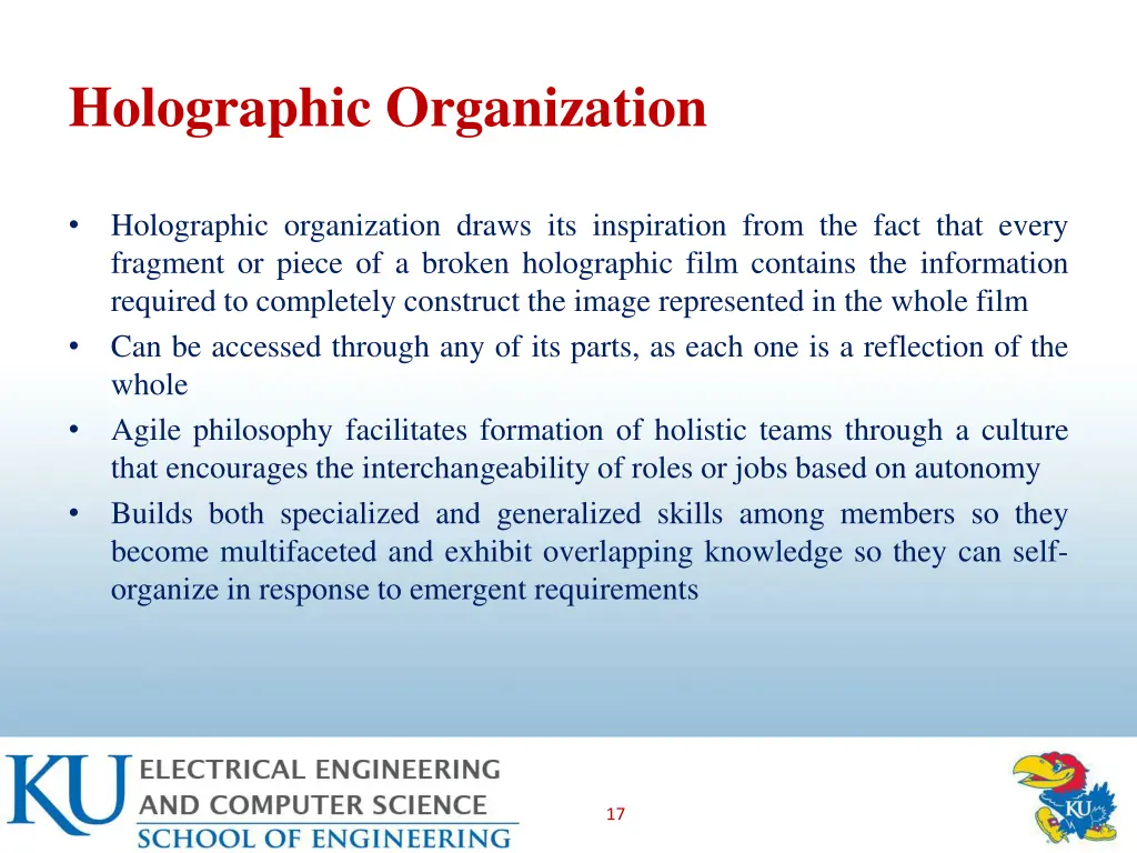 holographic organization