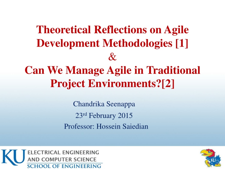 theoretical reflections on agile development