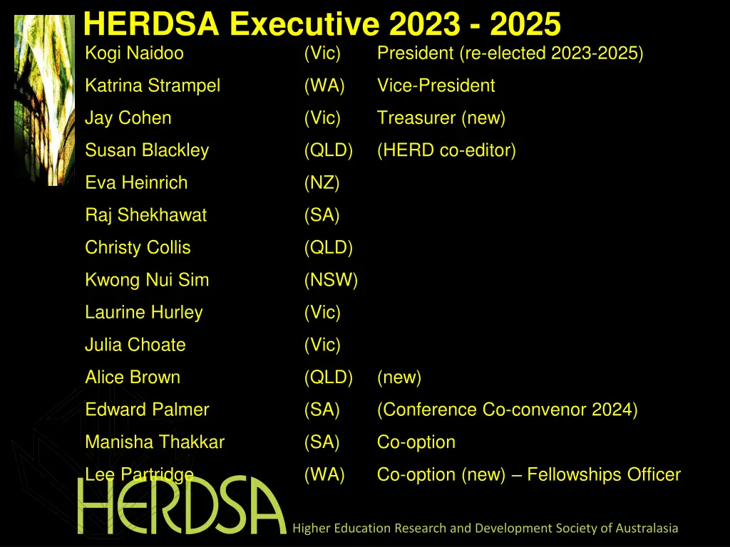 herdsa executive 2023 2025 kogi naidoo vic
