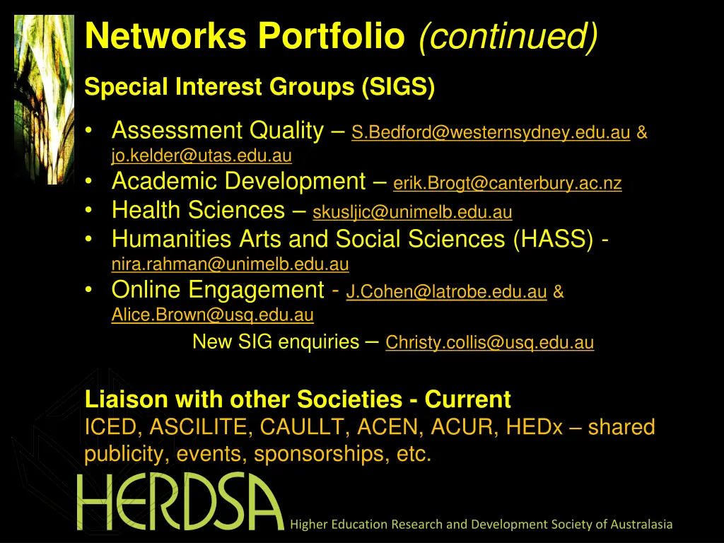 networks portfolio continued special interest