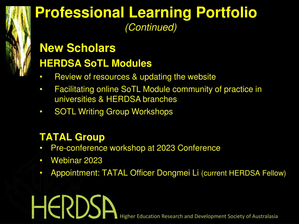 professional learning portfolio continued