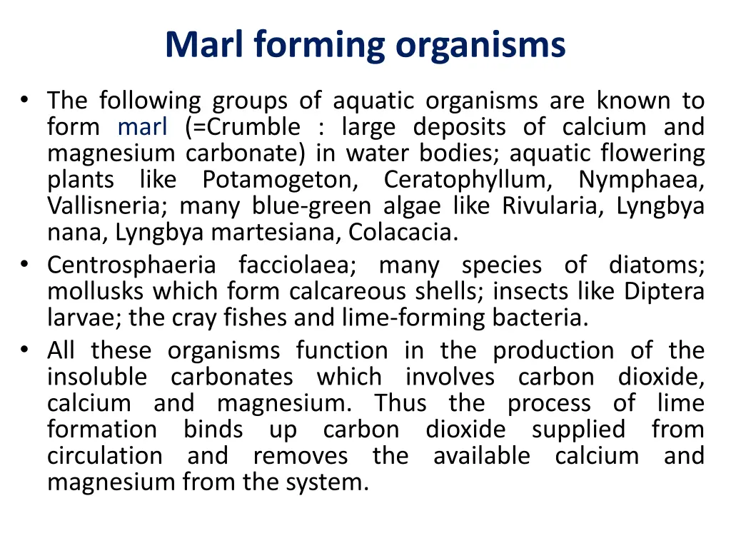 marl forming organisms