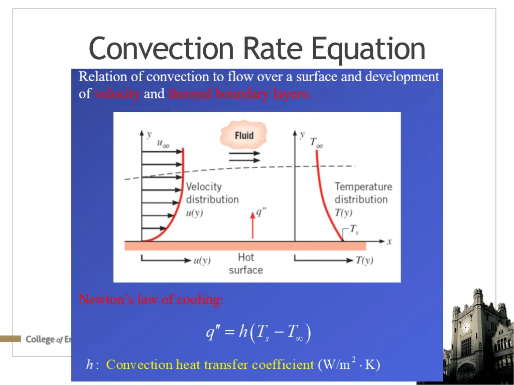 convection rate equation
