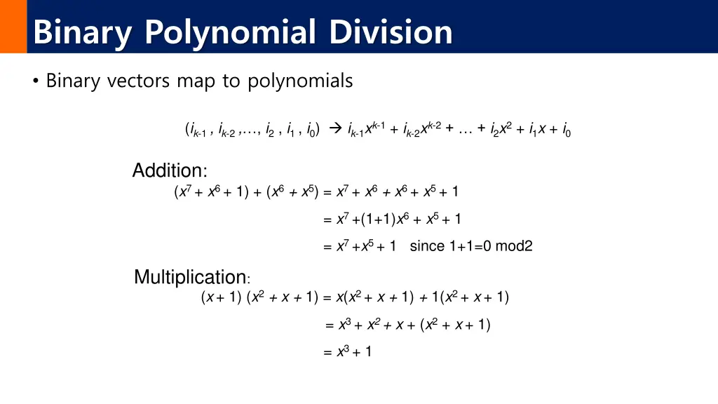 binary polynomial division