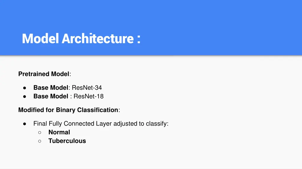 model architecture