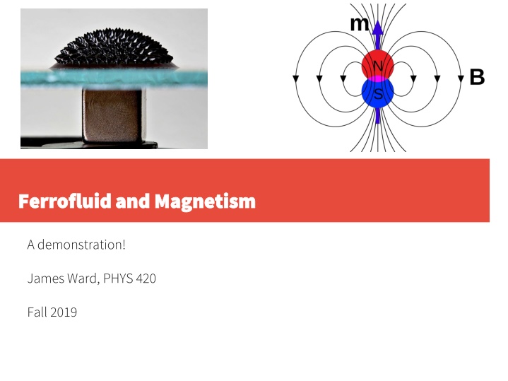 ferrofluid and magnetism ferrofluid and magnetism