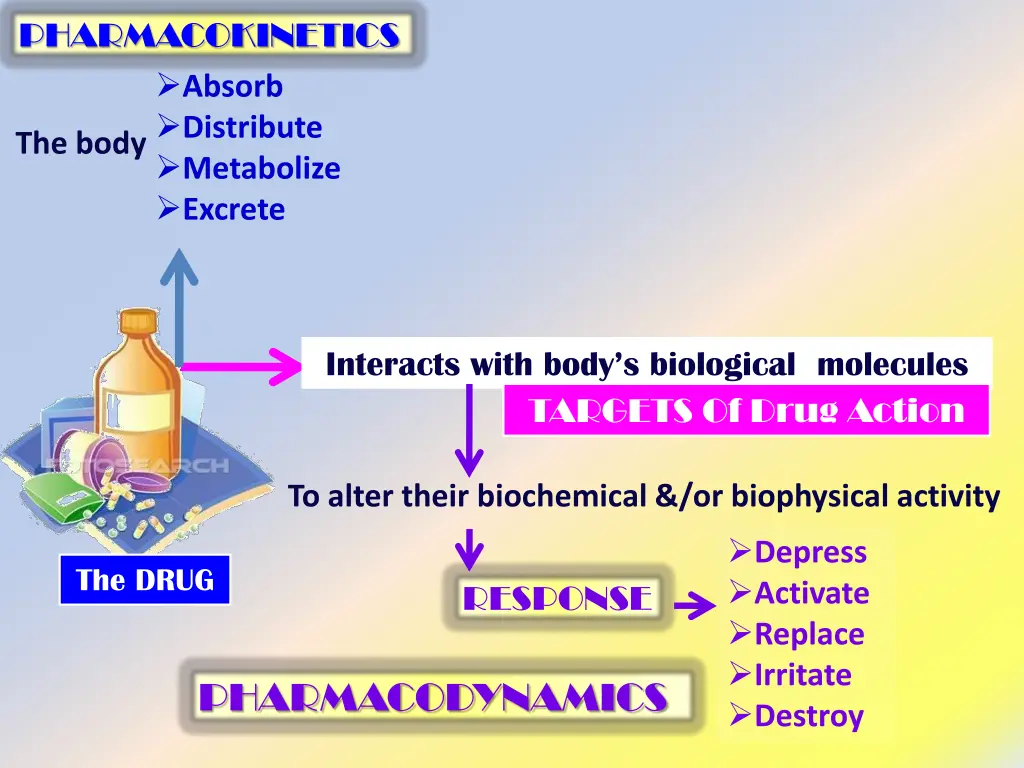 pharmacokinetics