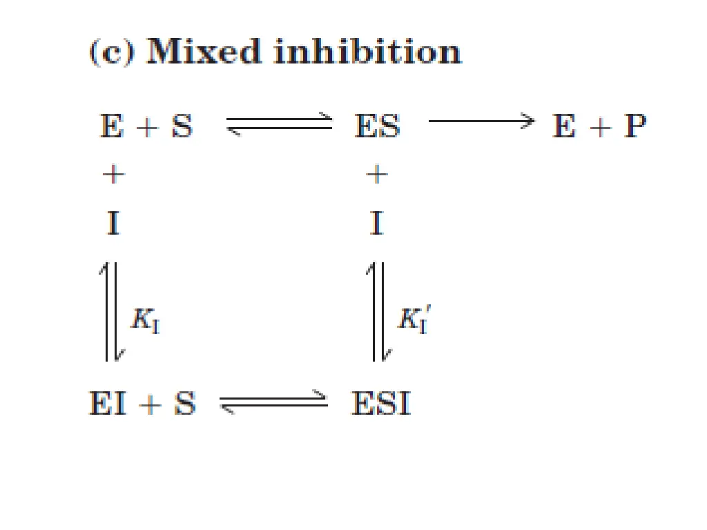slide12