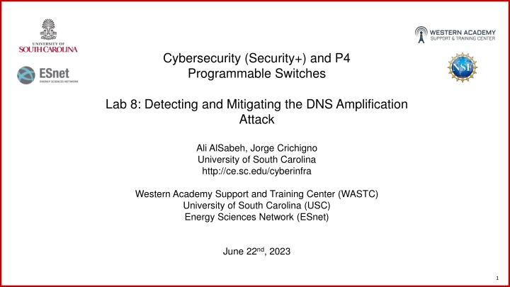 cybersecurity security and p4 programmable