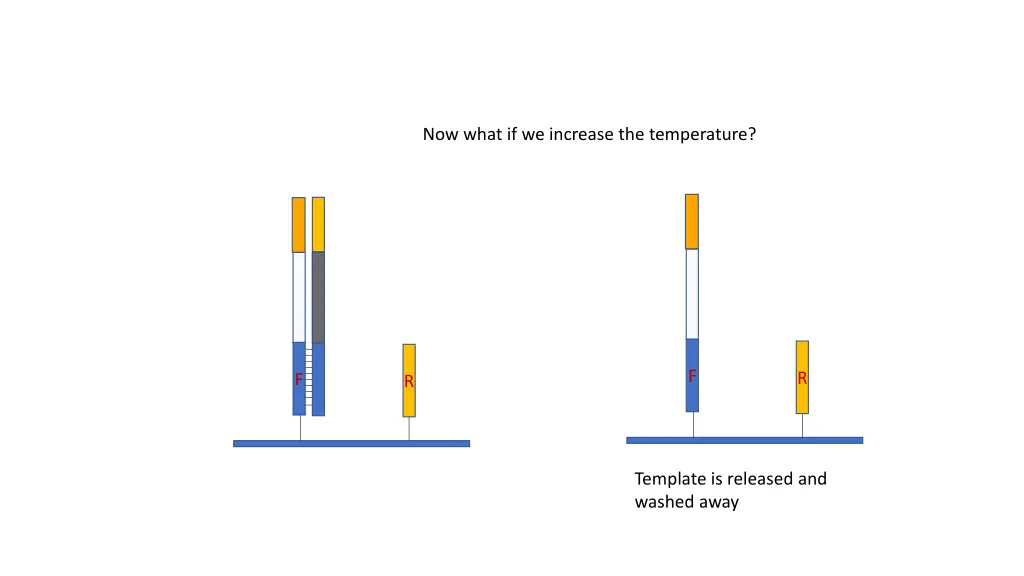 now what if we increase the temperature