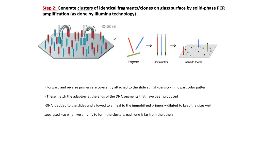 step 2 generate clusters of identical fragments 1