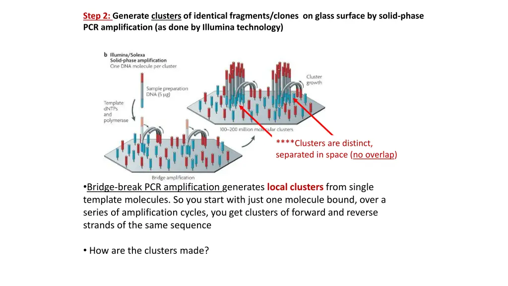 step 2 generate clusters of identical fragments 2