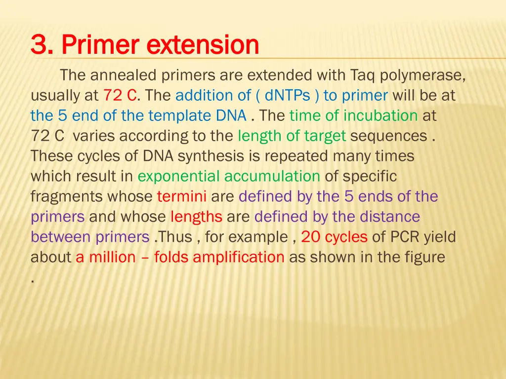 3 3 primer extension primer extension