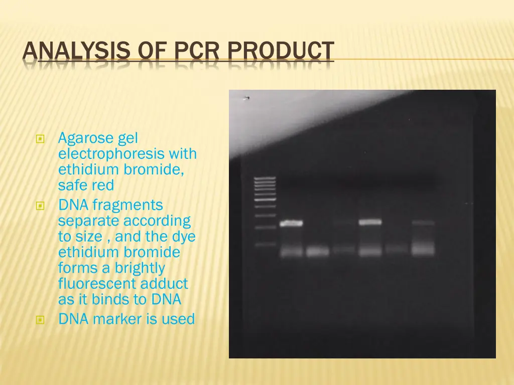 analysis of pcr product