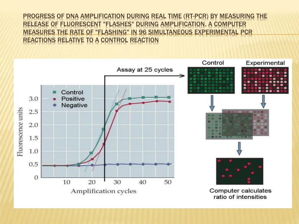 progress of dna amplification during real time