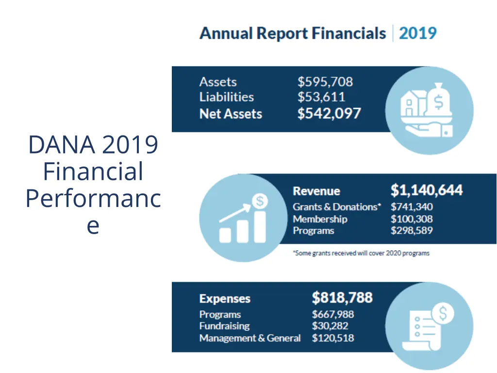 dana 2019 financial performanc e