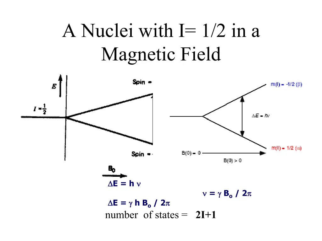 a nuclei with i 1 2 in a magnetic field