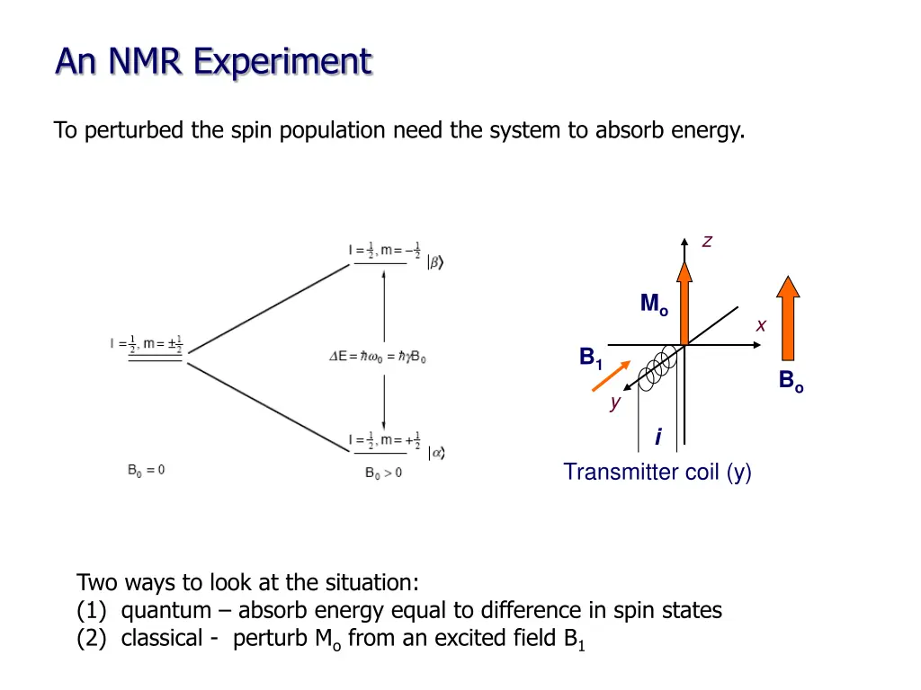 an nmr experiment 1