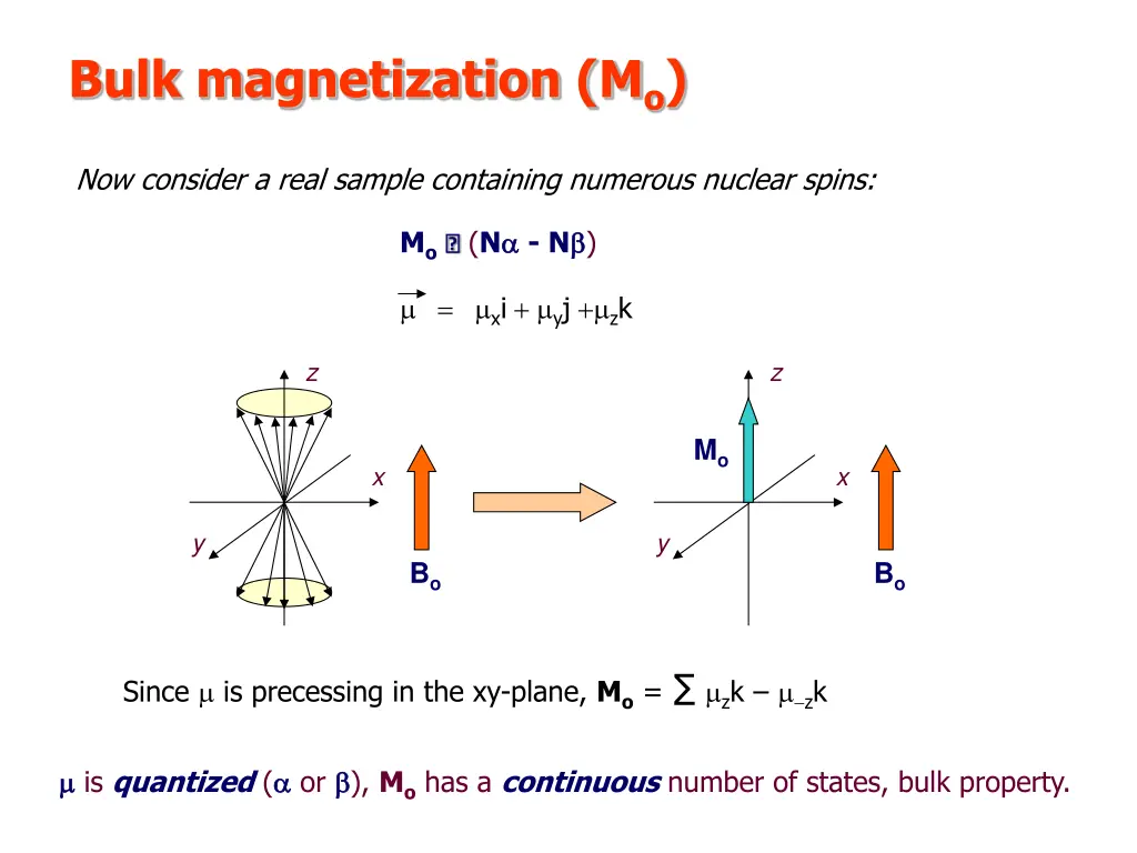 bulk magnetization m o