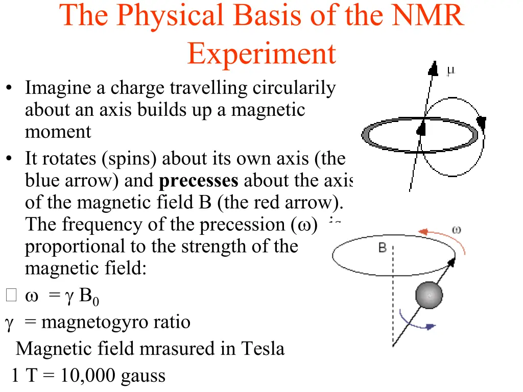 the physical basis of the nmr experiment