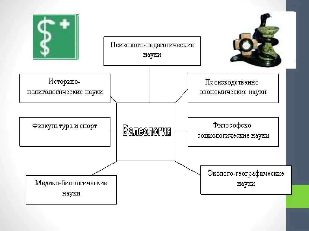 slide7