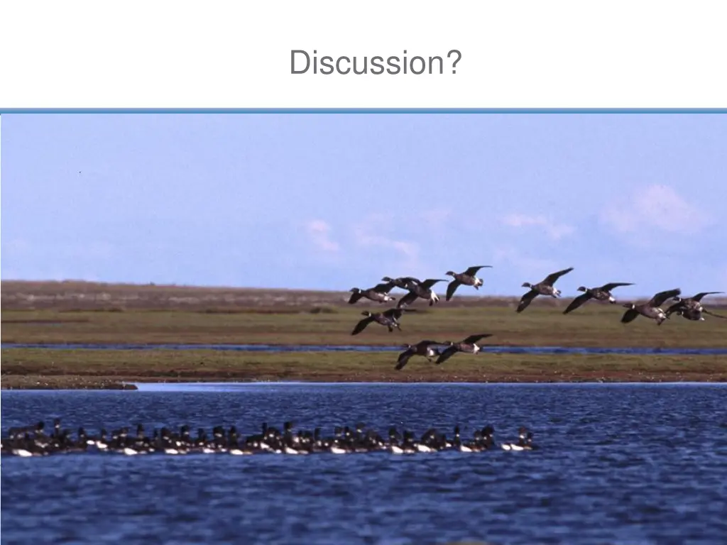 discussion
