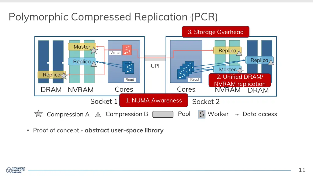 polymorphic compressed replication pcr