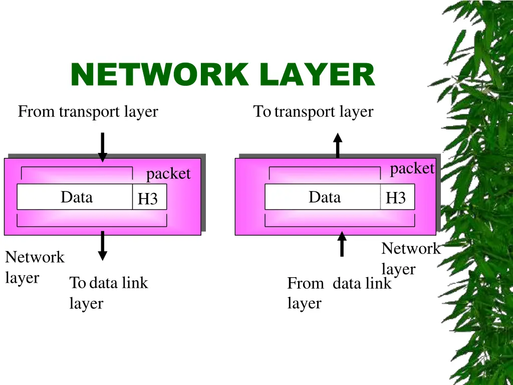 network layer from transport layer