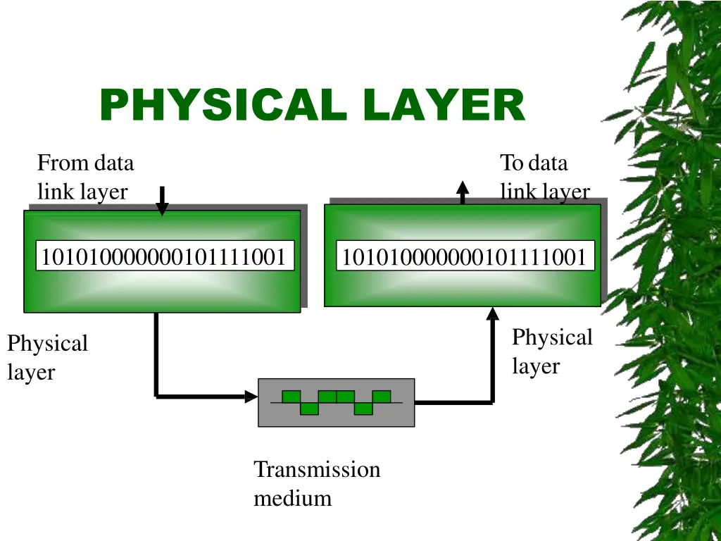 physical layer 1