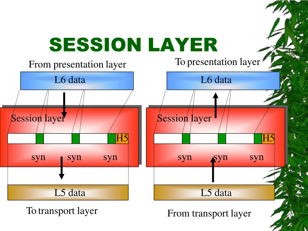 session layer from presentationlayer