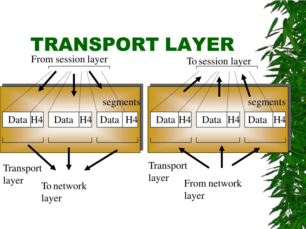 transport layer from session layer