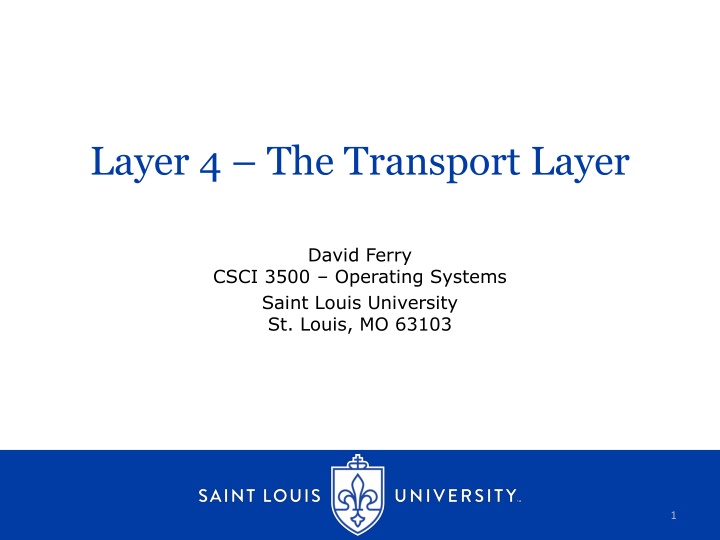 layer 4 the transport layer