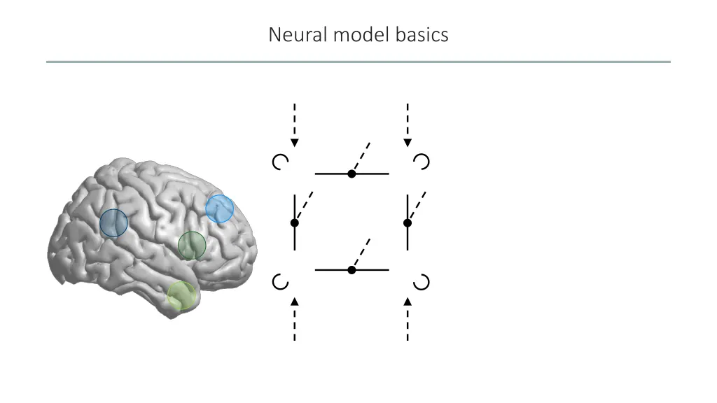 neural model basics