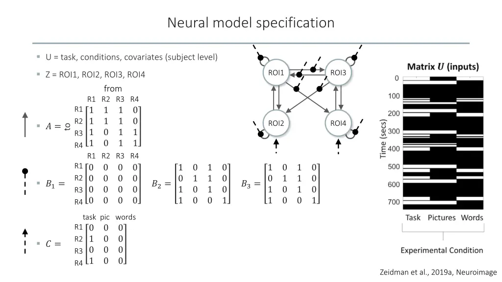 neural model specification