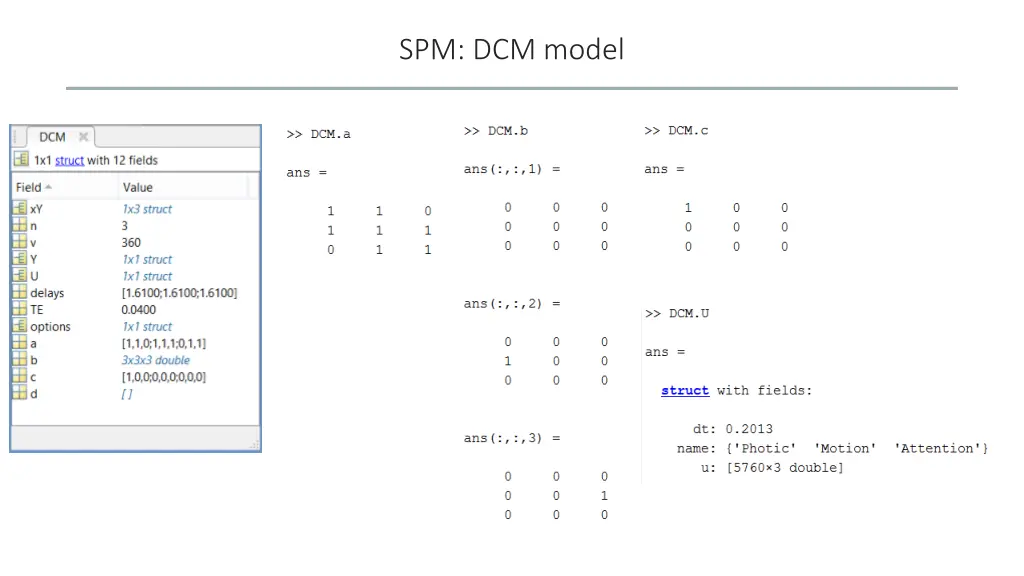 spm dcm model