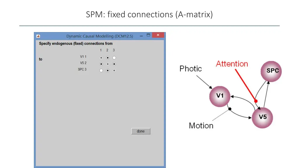 spm fixed connections a matrix