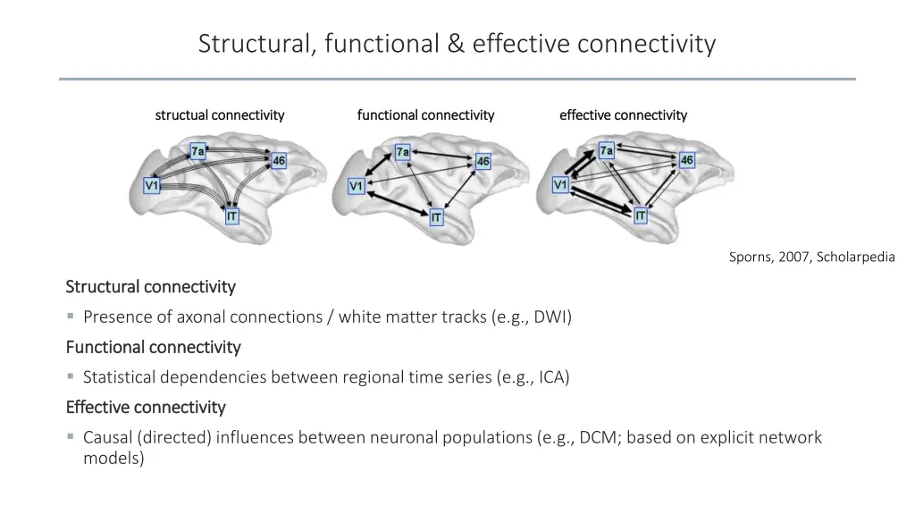 structural functional effective connectivity