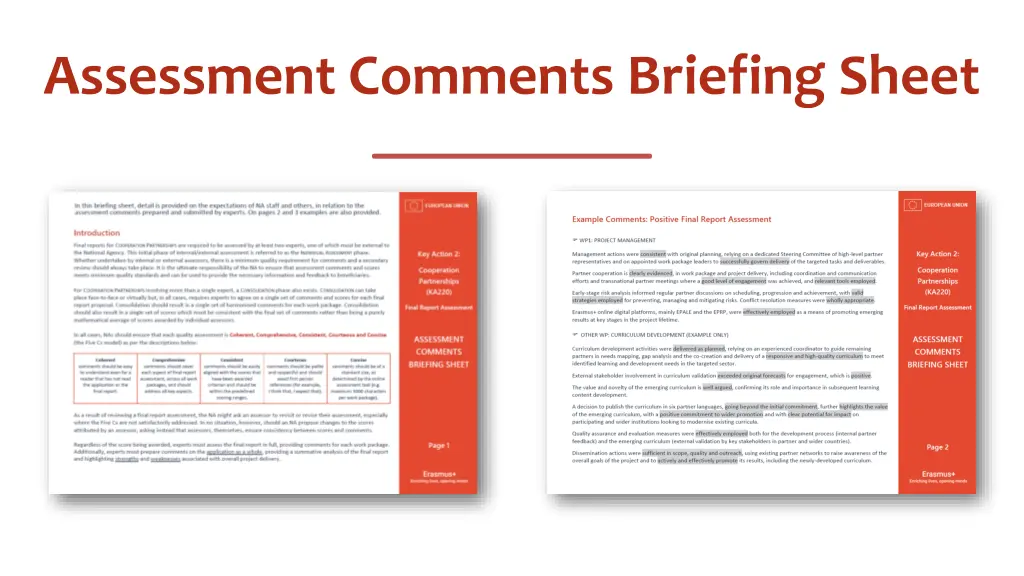 assessment comments briefing sheet