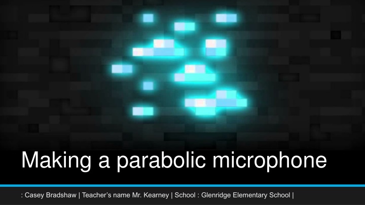 making a parabolic microphone