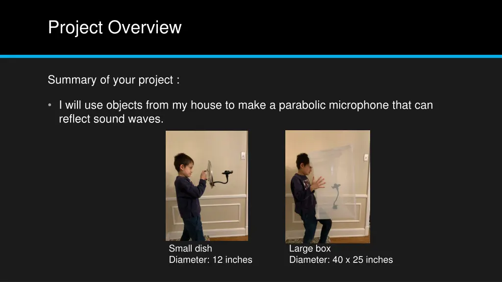 project overview