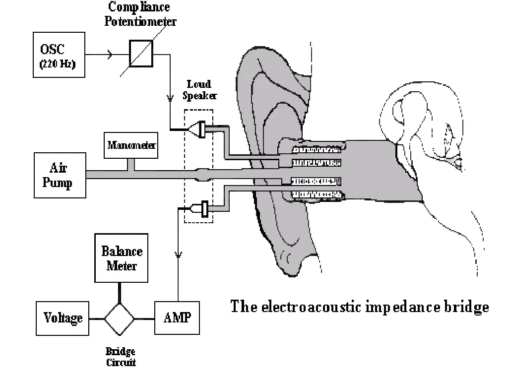 slide15