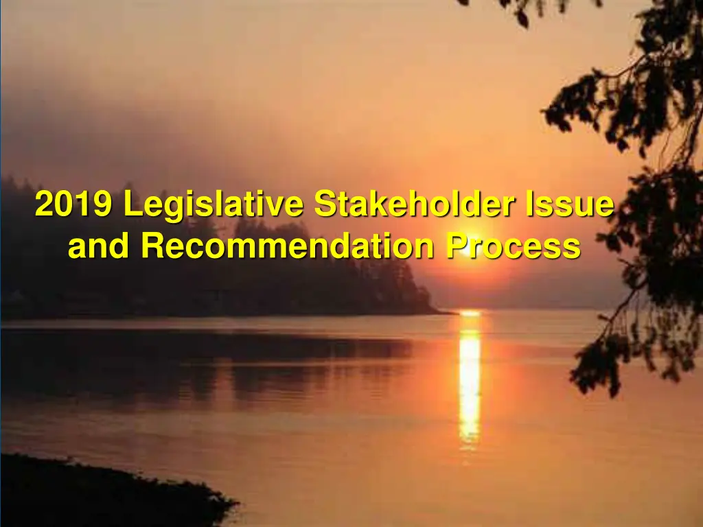 2019 legislative stakeholder issue